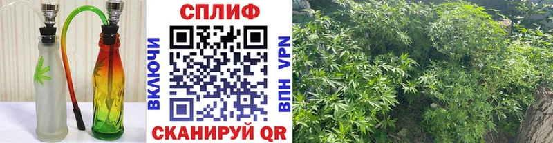 Купить закладку Амфетамин  A-PVP  ГАШ  Марихуана  Меф мяу мяу  МДМА  COCAIN  Артёмовский