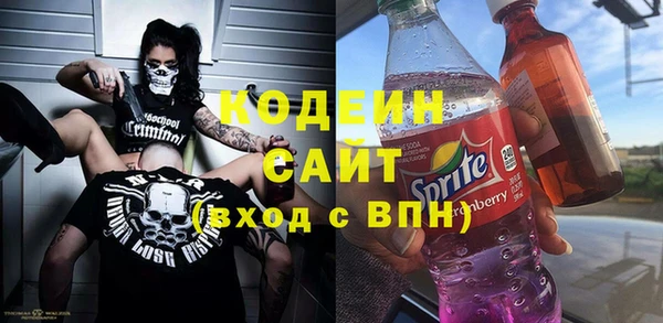 твердый Козельск
