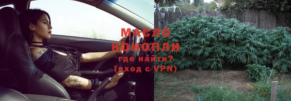 твердый Козельск